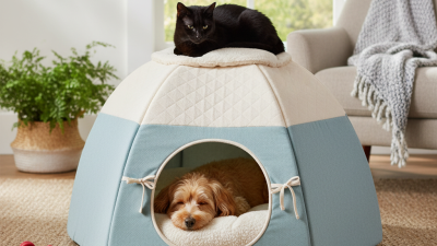 Top Tips for Choosing the Best Pet Bed Tent Tunnel for Your Pet?