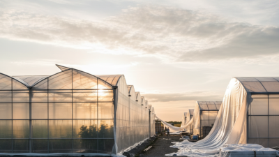 Ultimate Tips for Using Opaque Plastic Sheeting Effectively?