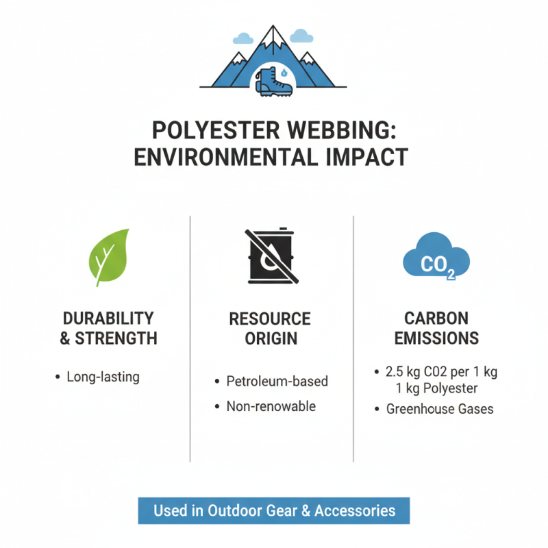 Why is Polyester Webbing Popular for Outdoor Gear and Accessories?