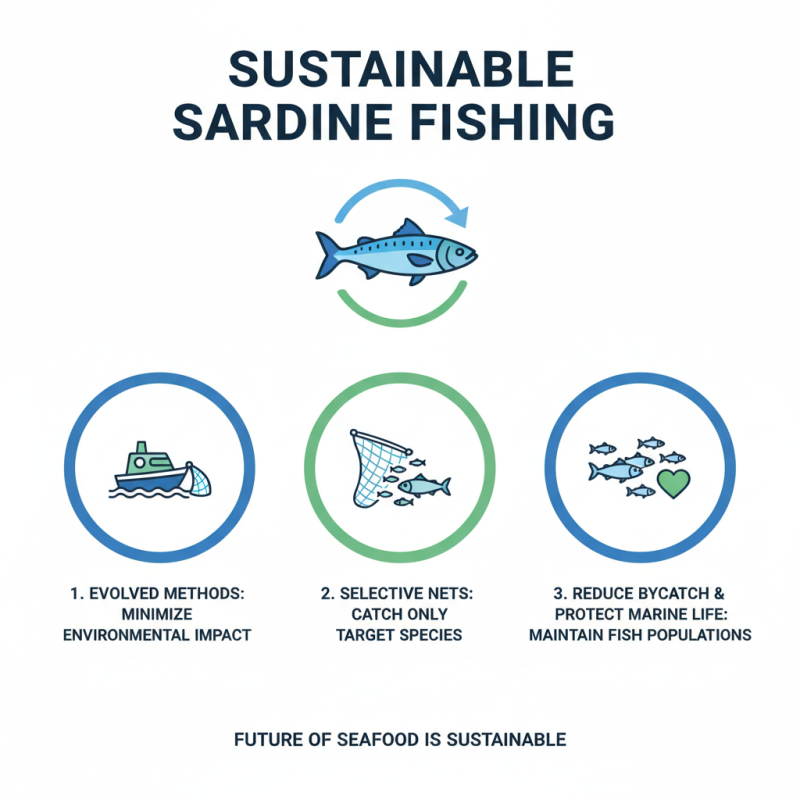 2026 Top Season Brand Sardines What Makes Them Stand Out?