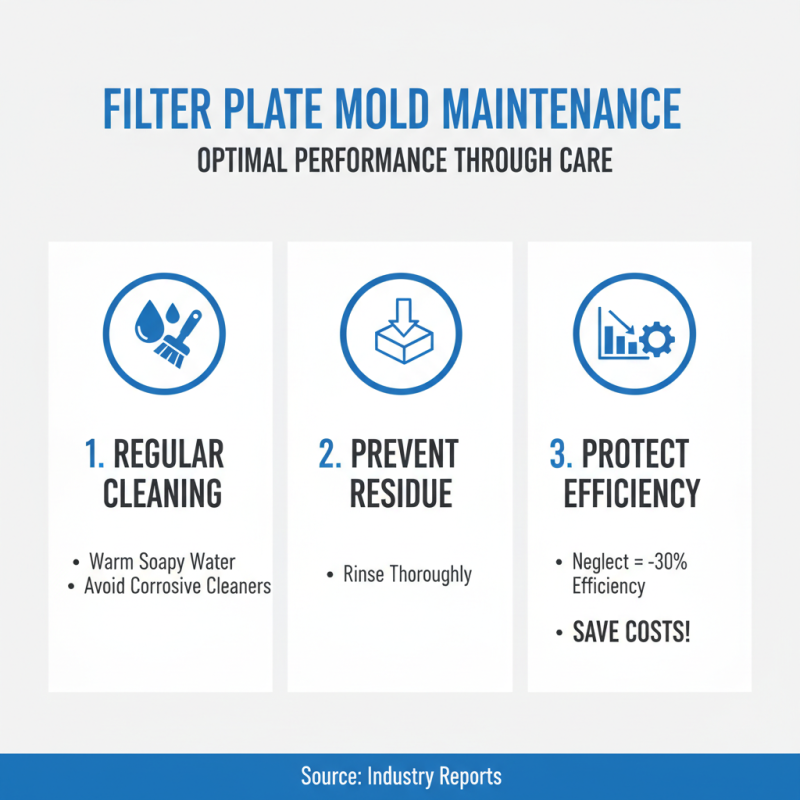 Why Choose a Filter Plate Mold for Your Production Needs?