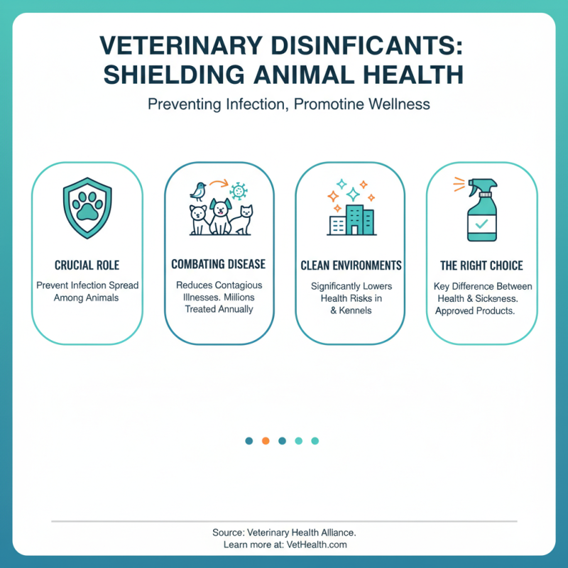 What is the Best Vet Disinfectant for Animal Care?