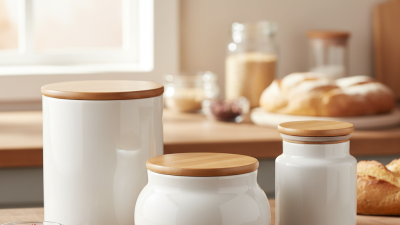 2026 Top Porcelain Food Storage Jar With Lid Features and Benefits?