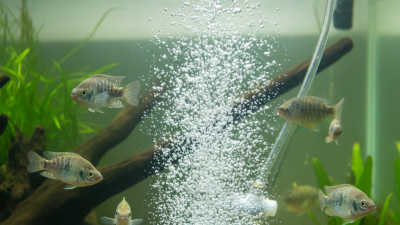 Micro Bubble Air Diffuser Tips for Optimal Performance?