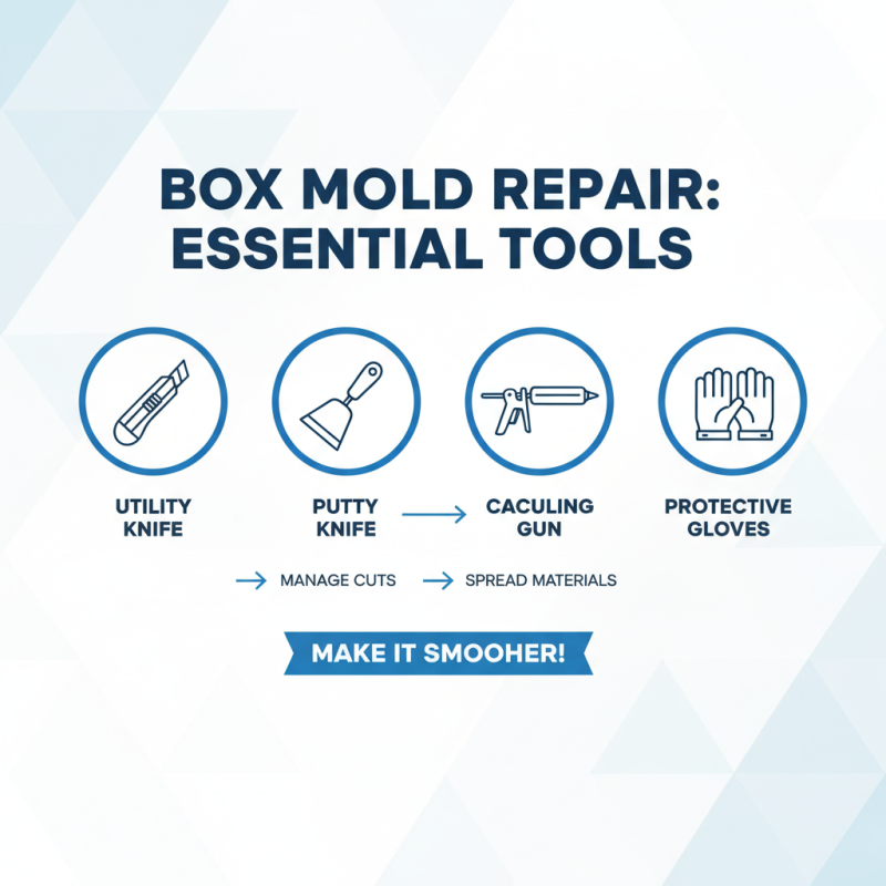 Box Mold Tips for Efficient Home Repair Solutions?