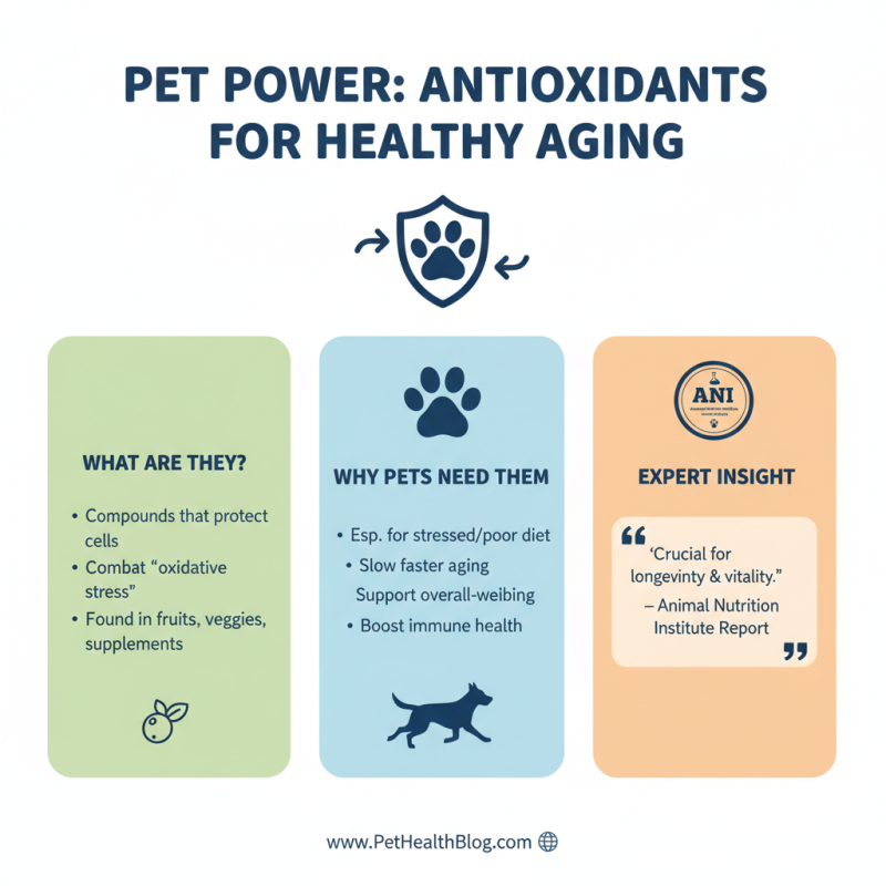 Top Animal Vitamins for Optimal Pet Health and Wellbeing?