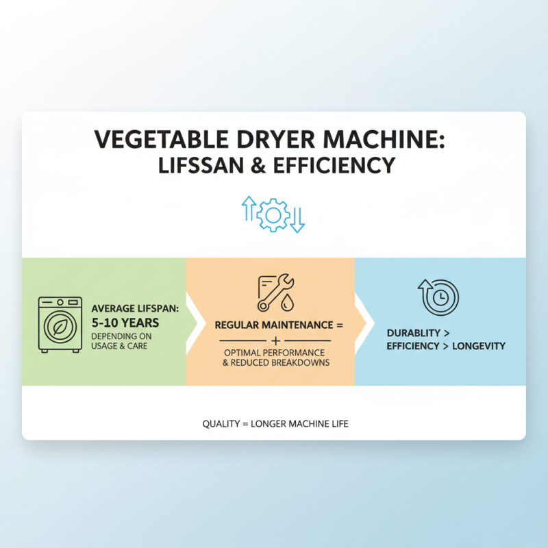 How to Choose the Best Vegetable Dryer Machine for Your Needs?