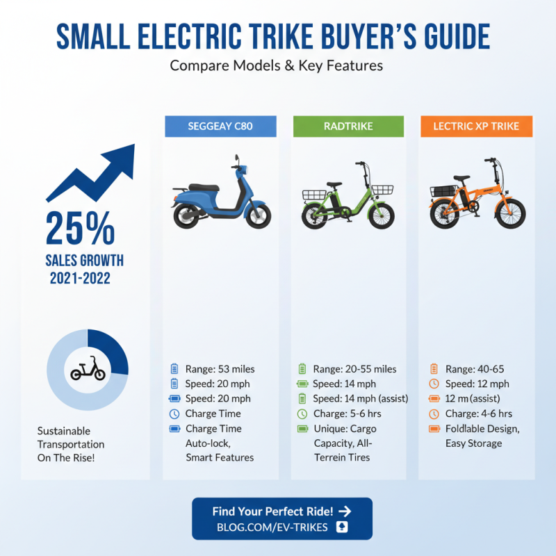 How to Choose the Best Small Electric Trike for Your Needs?