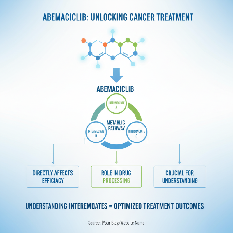 Top 10 Abemaciclib Intermediates You Should Know About?