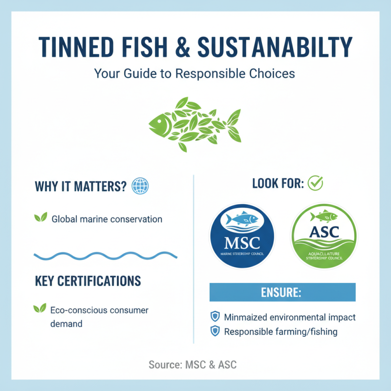 10 Essential Tips for Navigating the Tinned Fish Market Today?