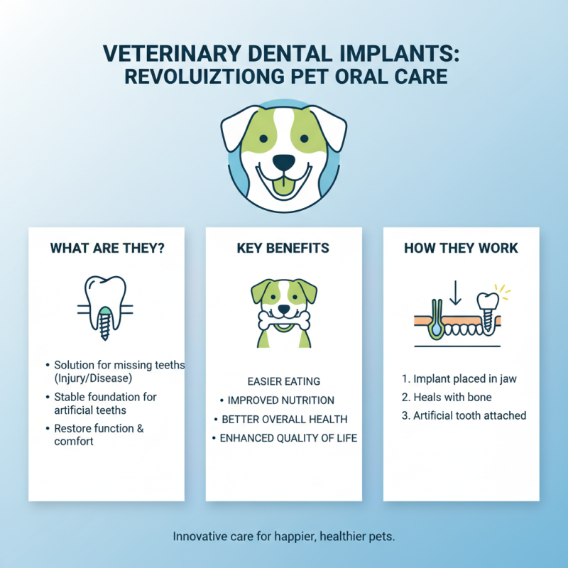 What is Veterinary Dental Implants and How Do They Work?