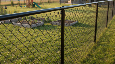 2026 Best Chain Link Mesh Fences for Your Property?