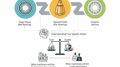 Best Real Bearing Types for Your Needs?