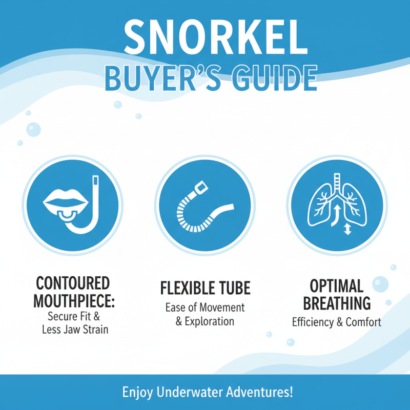Top 10 Scuba Masks and Snorkels You Need for Diving?