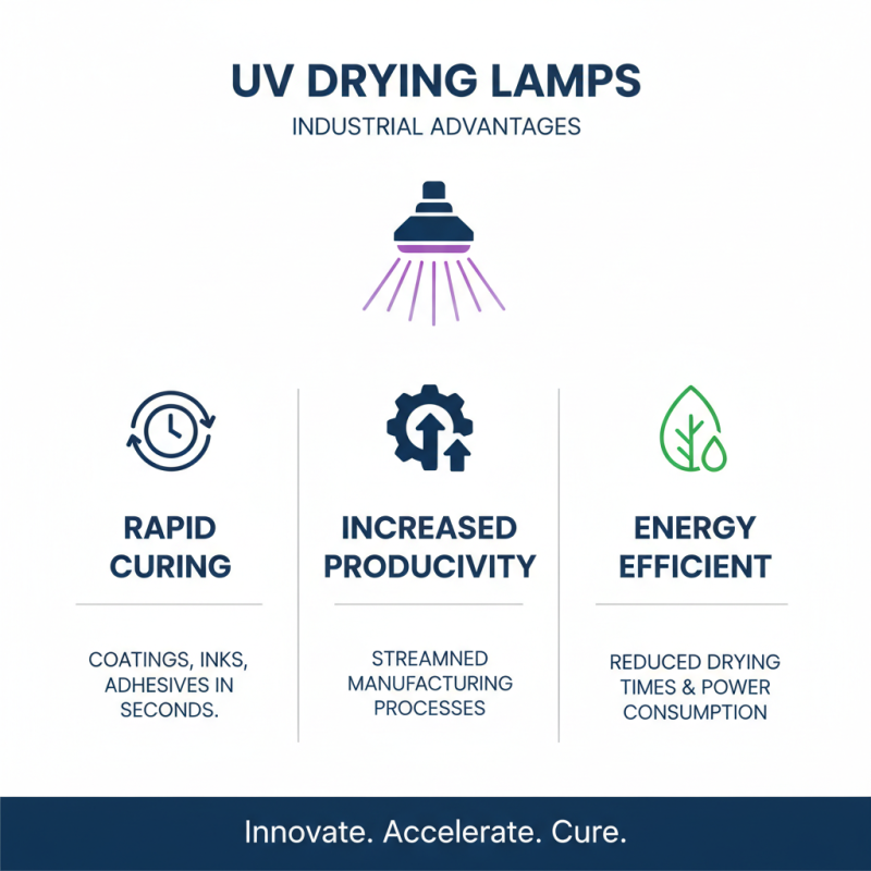2026 Top Uv Drying Lamp Benefits and Uses Explained?