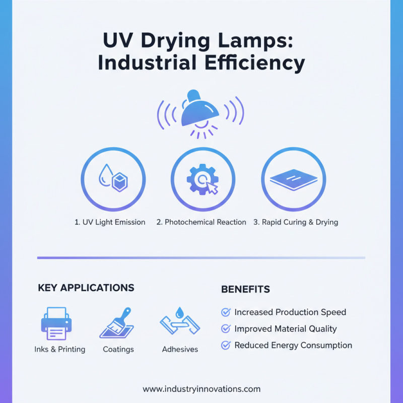 2026 Top Uv Drying Lamp Benefits and Uses Explained?