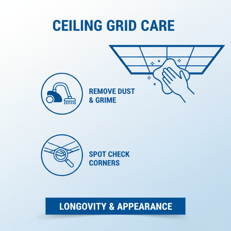 How to Install a Ceiling Grid in Your Home for an Updated Look?