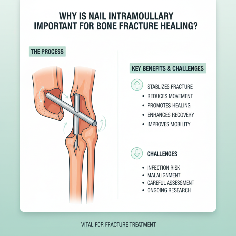 Why is Nail Intramedullari Important for Bone Fracture Healing?