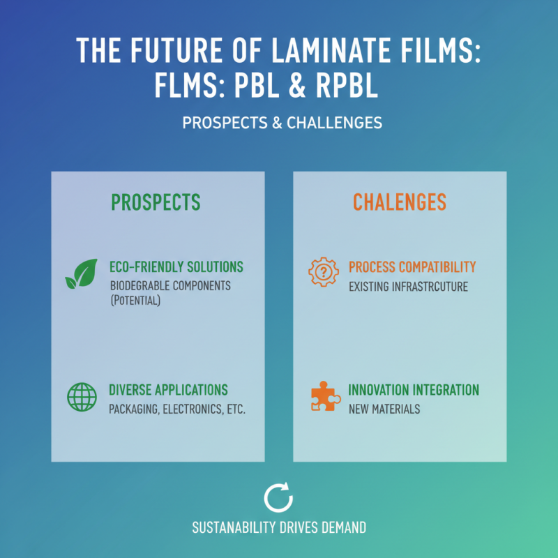 2026 Top Pbl Rpbl Laminate Film Trends and Applications?