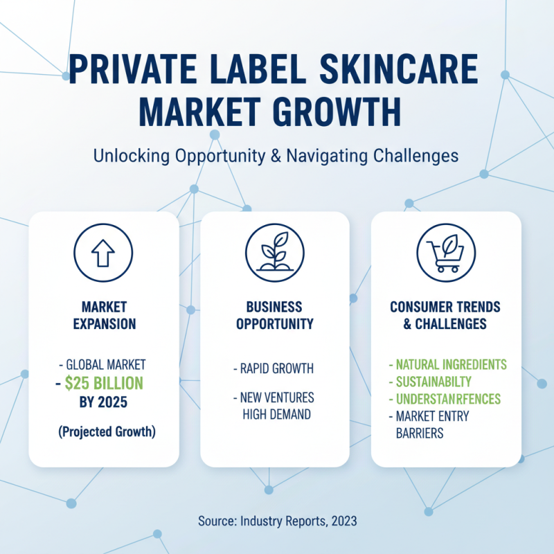 How to Create Your Own Private Label Skin Care Products for Success?