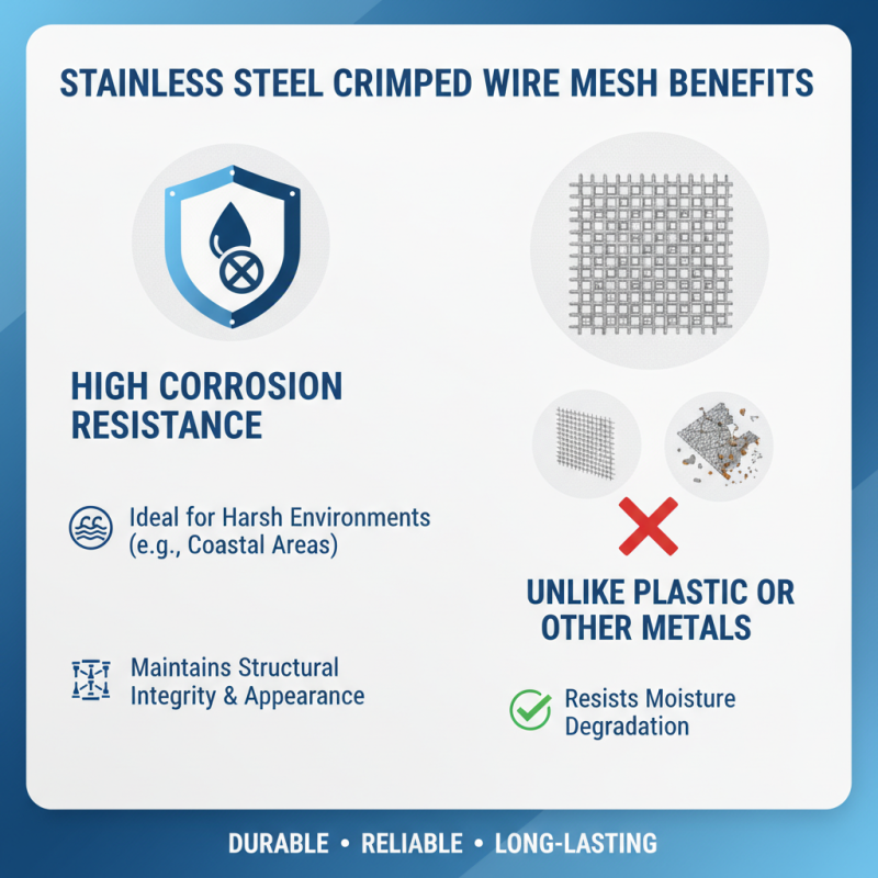 2026 Top Stainless Crimped Wire Mesh Uses and Benefits?