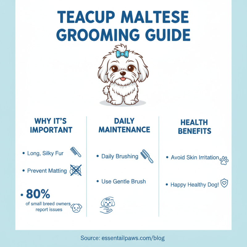10 Best Teacup Maltese Dog Care Tips for New Owners?