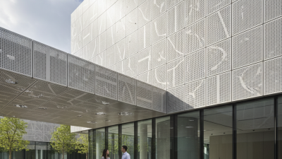 2026 How to Use Perforated Steel Panels for Design and Function?