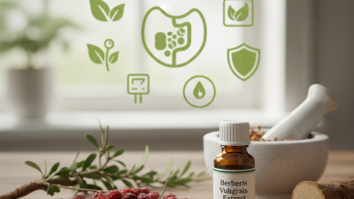 What is Berberis vulgaris extract and its health benefits?