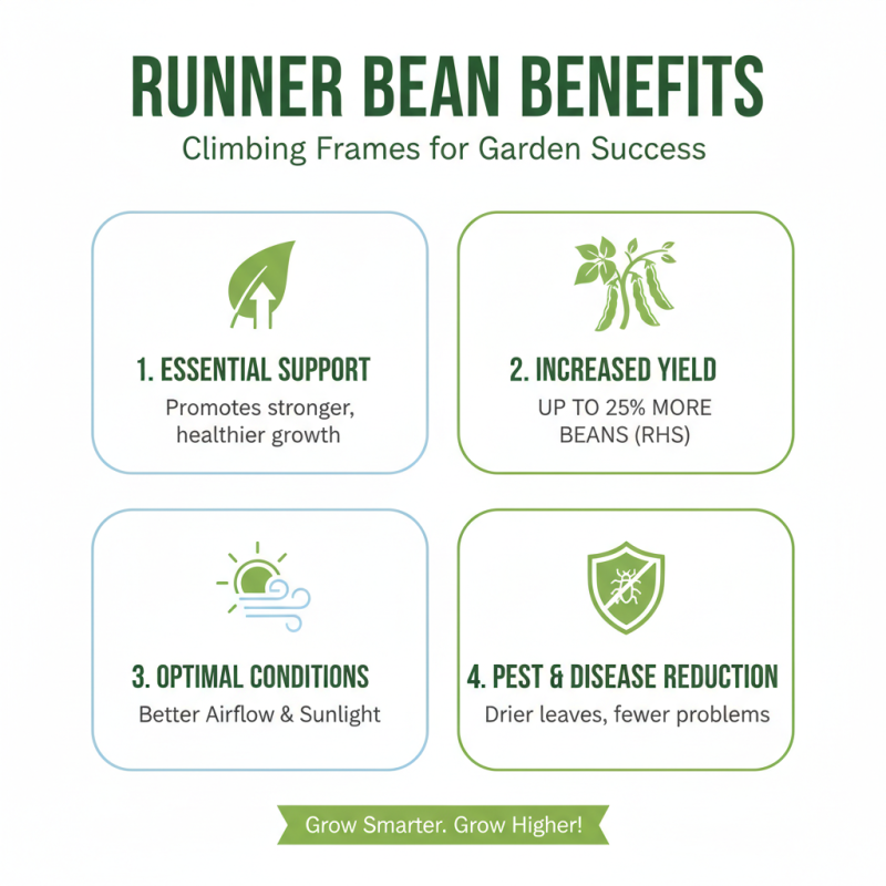 Top 10 Runner Bean Support Climbing Frames for Your Garden Garden Ideas?