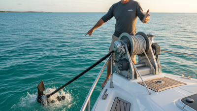 Best Boat Anchor Winch Reviews and Buying Guide?