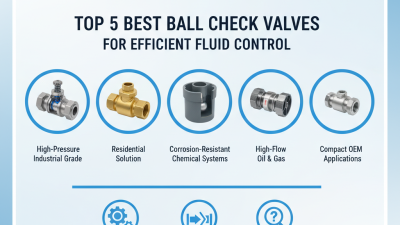 Top 5 Best Ball Check Valves for Efficient Fluid Control?