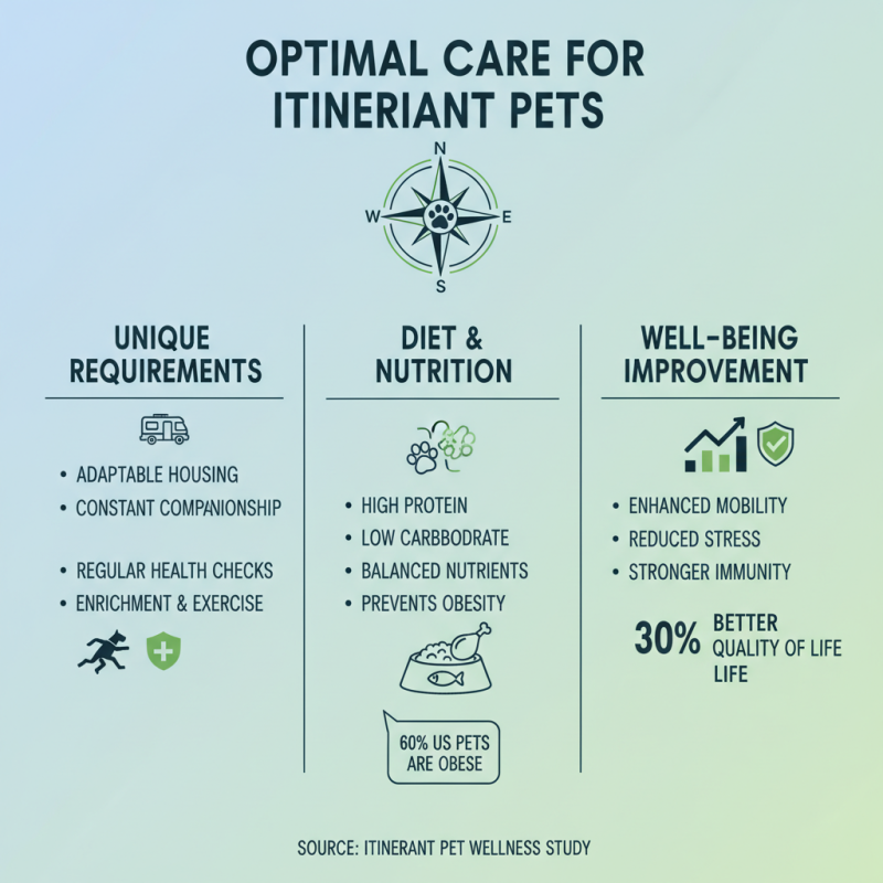 How to Care for Your Ito Pet Effectively?