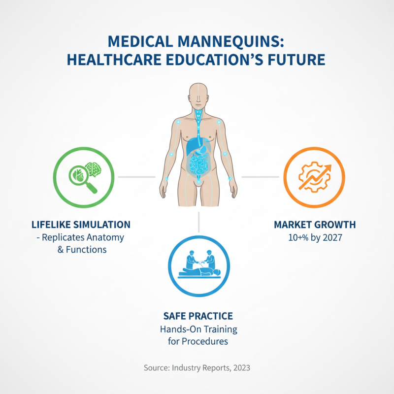 What is a Medical Mannequin and its Uses in Healthcare?