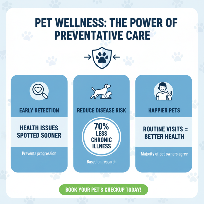 How to Care for Your Ito Pet Effectively?