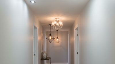 2026 Best Ceiling Lights For Hall How to Choose the Right One?