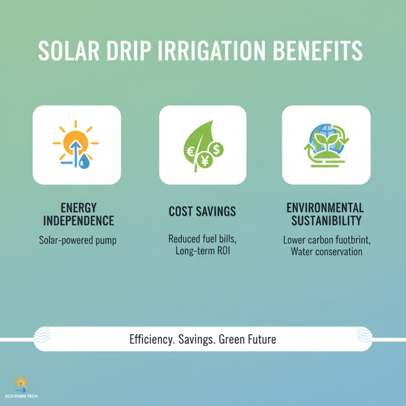 Top Benefits of Solar Drip Irrigation for Sustainable Farming?