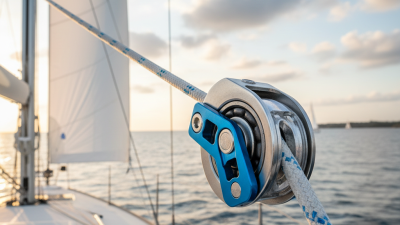 Top 10 Tracker Pulley Systems for Smooth Sailing Adventures?