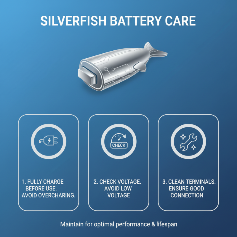 How to Choose the Best Silver Fish Battery for Your Needs?