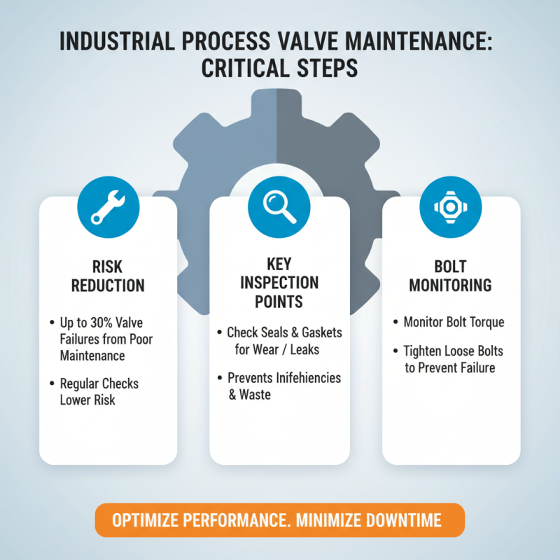 Understanding Top Process Valves for Industrial Applications?