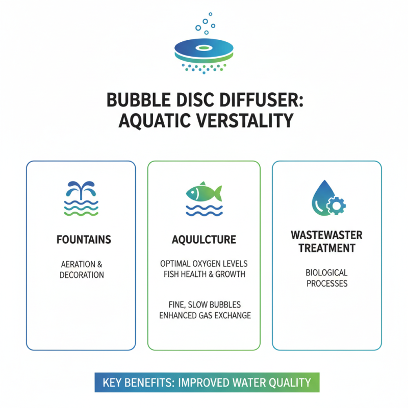 Top 5 Benefits of Bubble Disc Diffuser for Aquatic Systems?