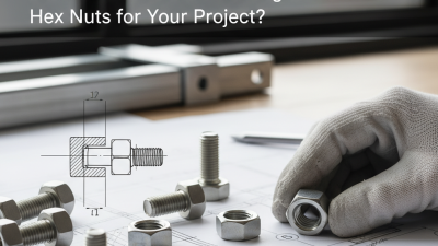 2026 How to Choose the Right Stainless Hex Nuts for Your Project?