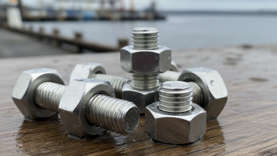 What Are Stainless Hex Nuts and Their Common Uses?