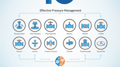 Top 10 Safety Relief Valve Types for Effective Pressure Management?