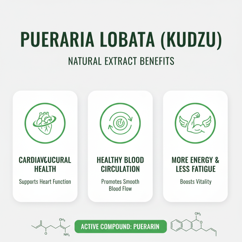 Benefits of Pueraria Lobata Extract Puerarin for Health?