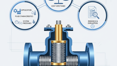 How to Choose Api Bellows Sealed Globe Valves for Your Project?