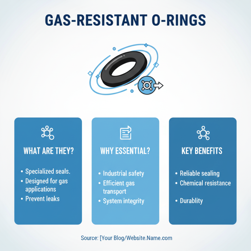 2026 Top Gas Resistant O Rings Uses and Benefits Explained?