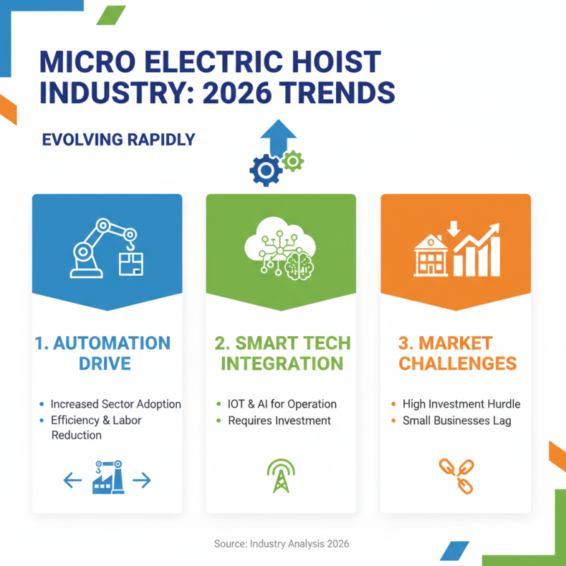 2026 Top Micro Electric Hoist Trends and Innovations to Watch?