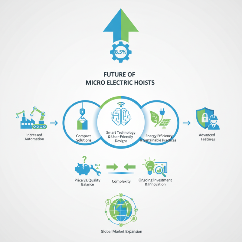 2026 Top Micro Electric Hoist Trends and Innovations to Watch?