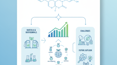 What is Levulinic Acid and Why is it Important?