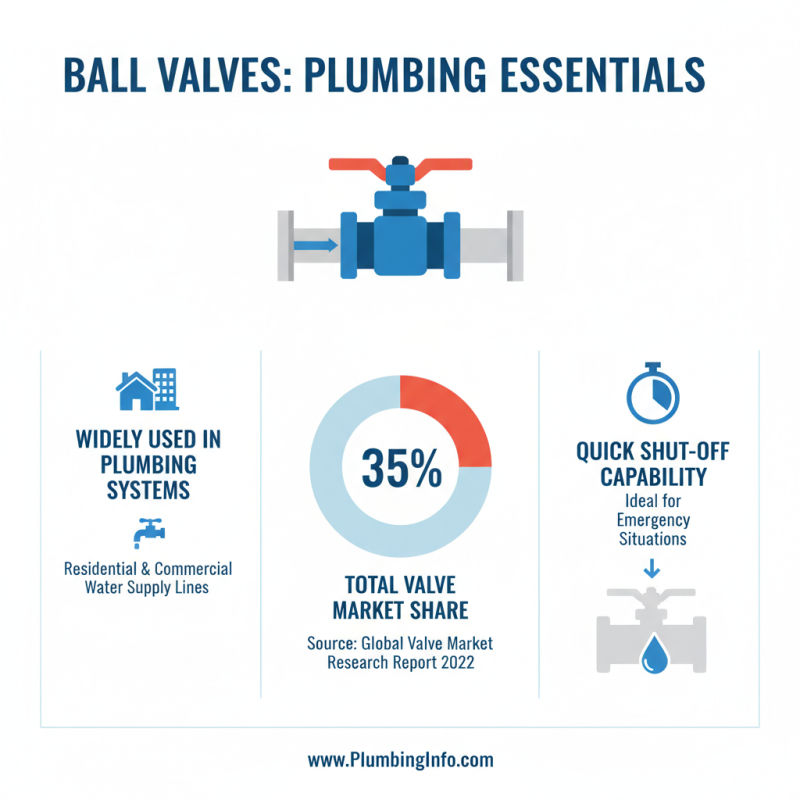 Why Choose Ball Valves for Your Plumbing Needs?